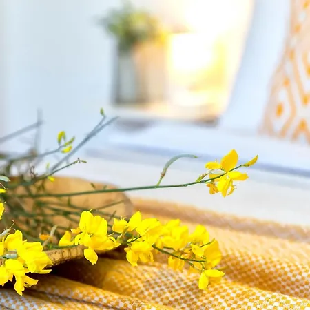 Villa Sardinia Re - Martin Panoramic View Alghero